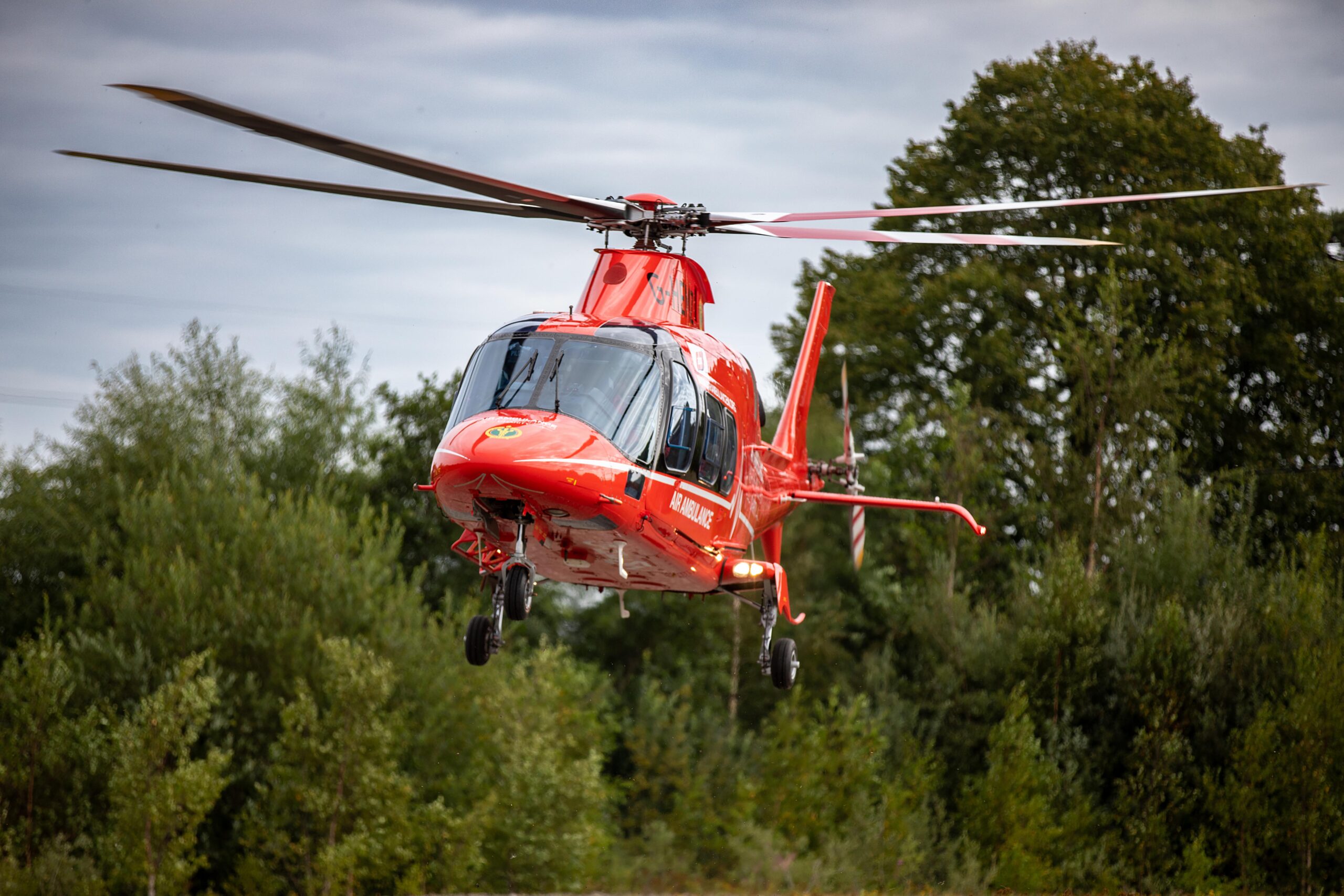 Image for Make a Donation